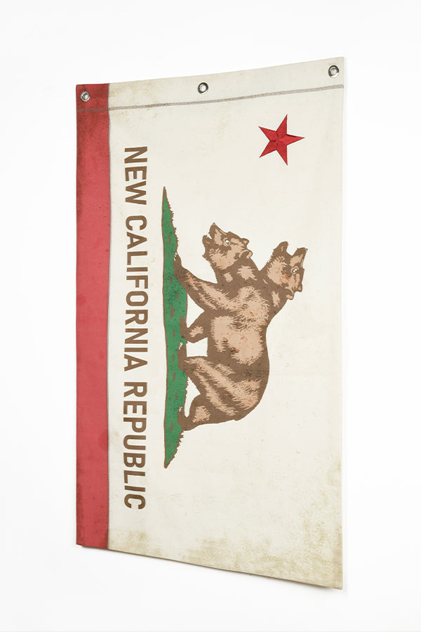 Fallout NCR-Leinwandbanner