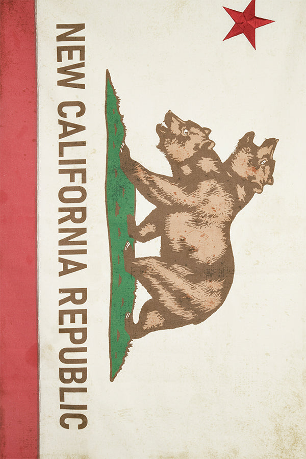 Fallout NCR-Leinwandbanner