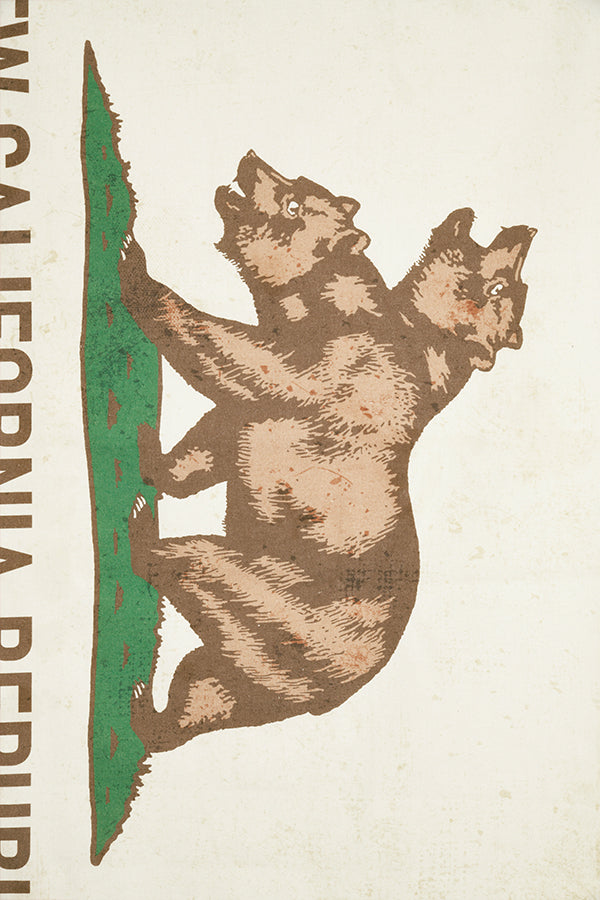 Fallout NCR-Leinwandbanner
