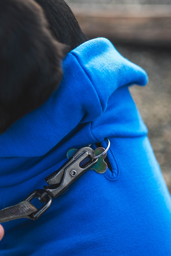 Fallout Vault 101 Pet Hoodie