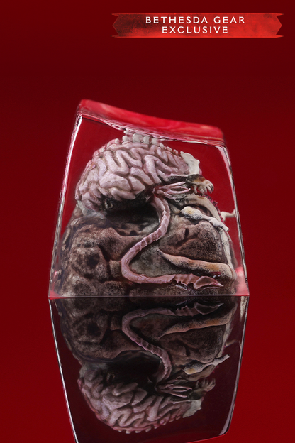 Model of a human brain and spinal cord in a glass container with 'Bethesda Gear Exclusive' text on a red background.