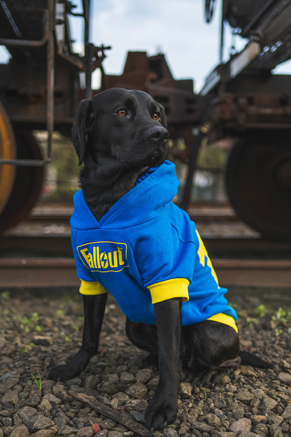 Fallout Vault 101 Pet Hoodie