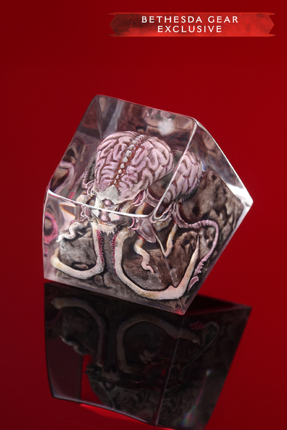 Dodecahedron-shaped object with brain design on a red background, Bethesda Gear Exclusive label.