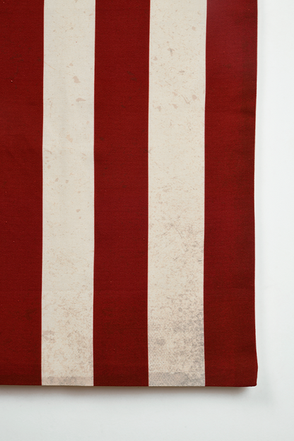 Fallout Brotherhood of Steel Canvas Banner