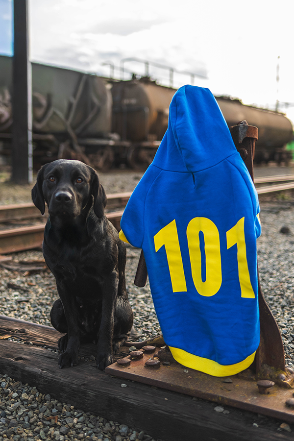 Fallout Vault 101 Pet Hoodie