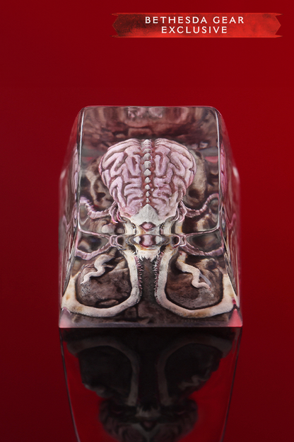 Metallic object with brain design on a red background, Bethesda Gear Exclusive label.