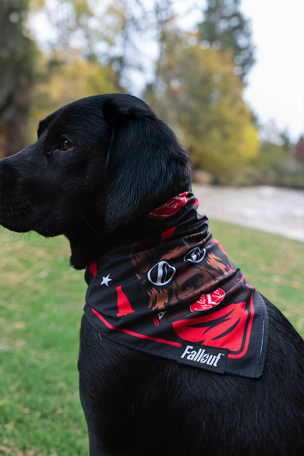 Fallout Wasteland Companion Pet Bandana Set