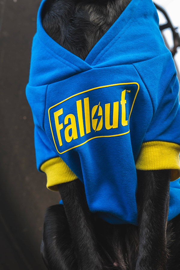 Fallout Vault 101 Pet Hoodie
